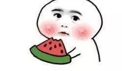 吃瓜网用不了了,揭秘网络平台背后的困境与挑战”