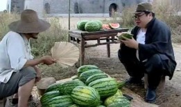 黑网料吃瓜网地址,追踪网络暗流涌动的秘密角落