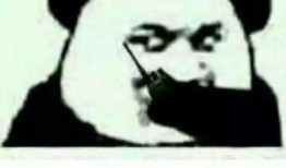 青你2吃瓜爆料,吃瓜爆料背后的惊人内幕