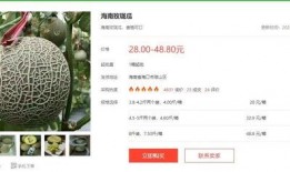 今日吃大瓜小说在线阅读,小说在线阅读精彩片段抢先看