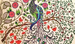 秘密花园吃瓜官网,吃瓜官网带你领略神秘瓜界风采