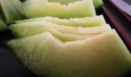 网爆吃瓜日韩精品,网爆吃瓜背后的时尚潮流